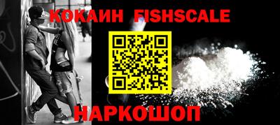 стаф Дубна