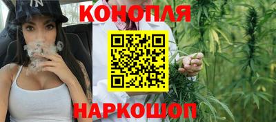 Альфа ПВП Донецк