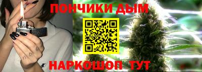 стаф Дубна