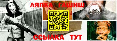 стаф Дубна