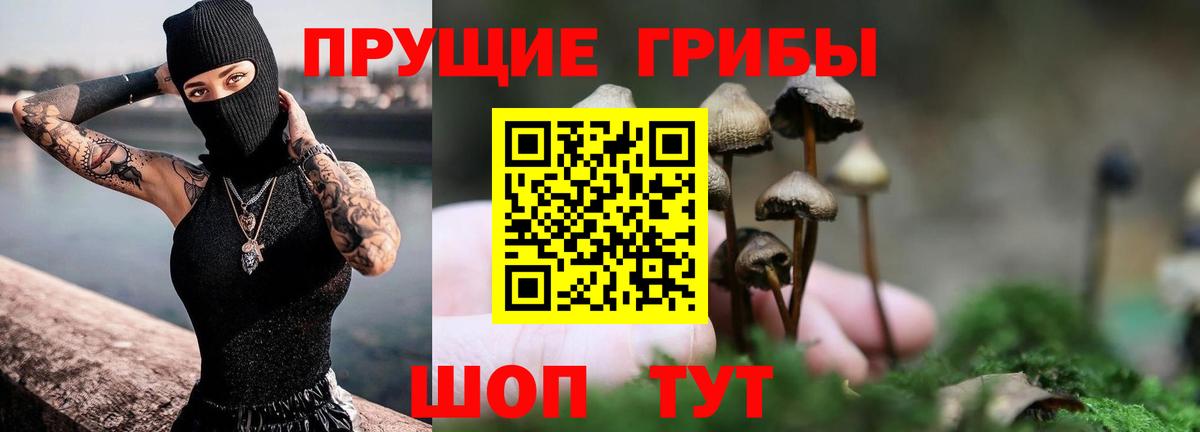 купить наркоту  Галлюциногенные грибы MAGIC MUSHROOMS  Галлюциногенные грибы GOLDEN TEACHER  Вход с VPN  Йошкар-Ола 